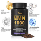 Syloni NMN Supplement 1000mg | 4-in-1 NAD+ Anti-Aging Formula with PQQ, CoQ10 & L-Ergothioneine | 60 Capsules Syloni