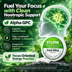 SYLONI Cool Mint caffeine pouches feature graphic highlighting Alpha GPC brain support for cognitive focus and sustained alertness